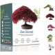 Mini Kit Prêt-à-pousser zen bonsai