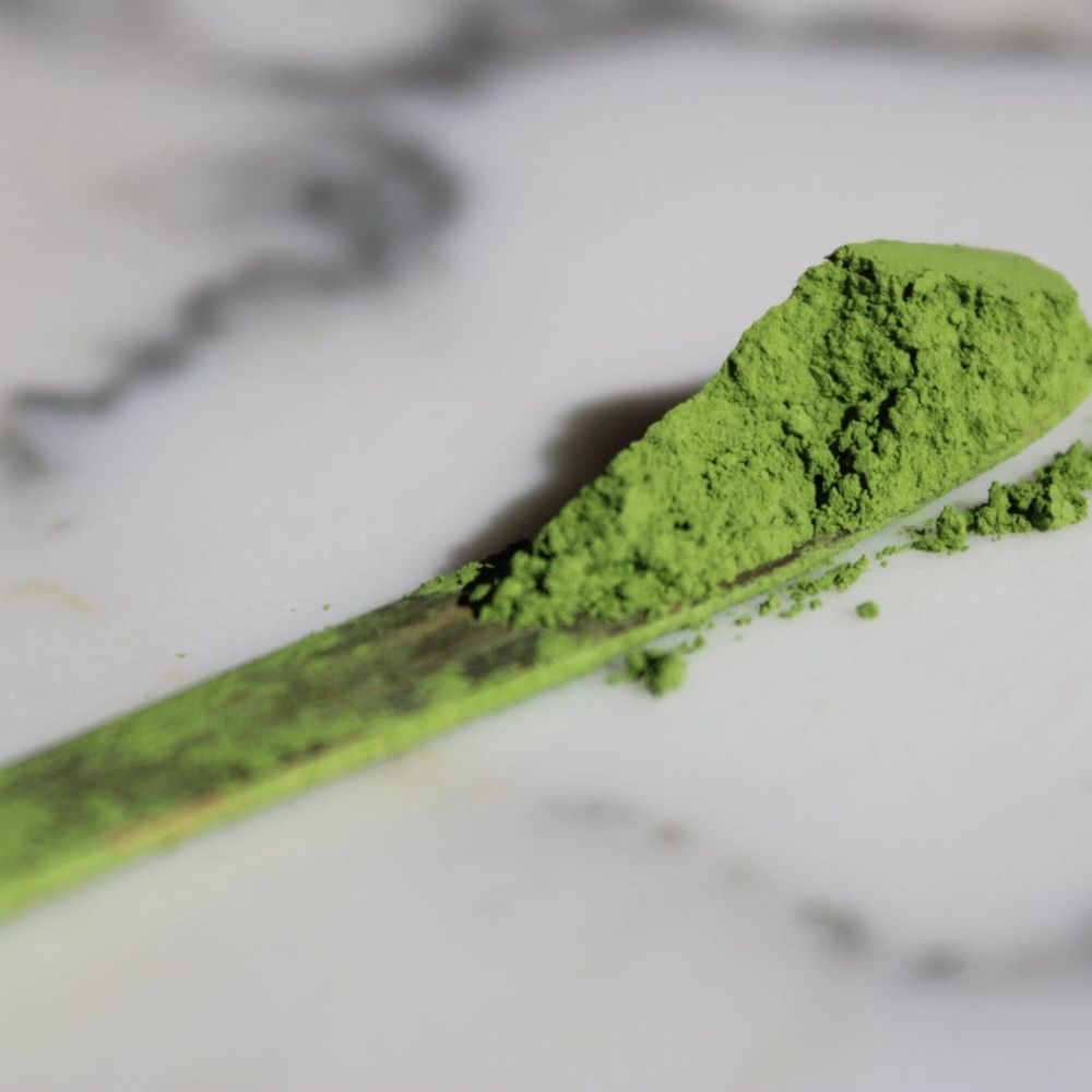 poudre matcha bio Japon, thé matcha cérémonial Uji, rituel matcha traditionnel