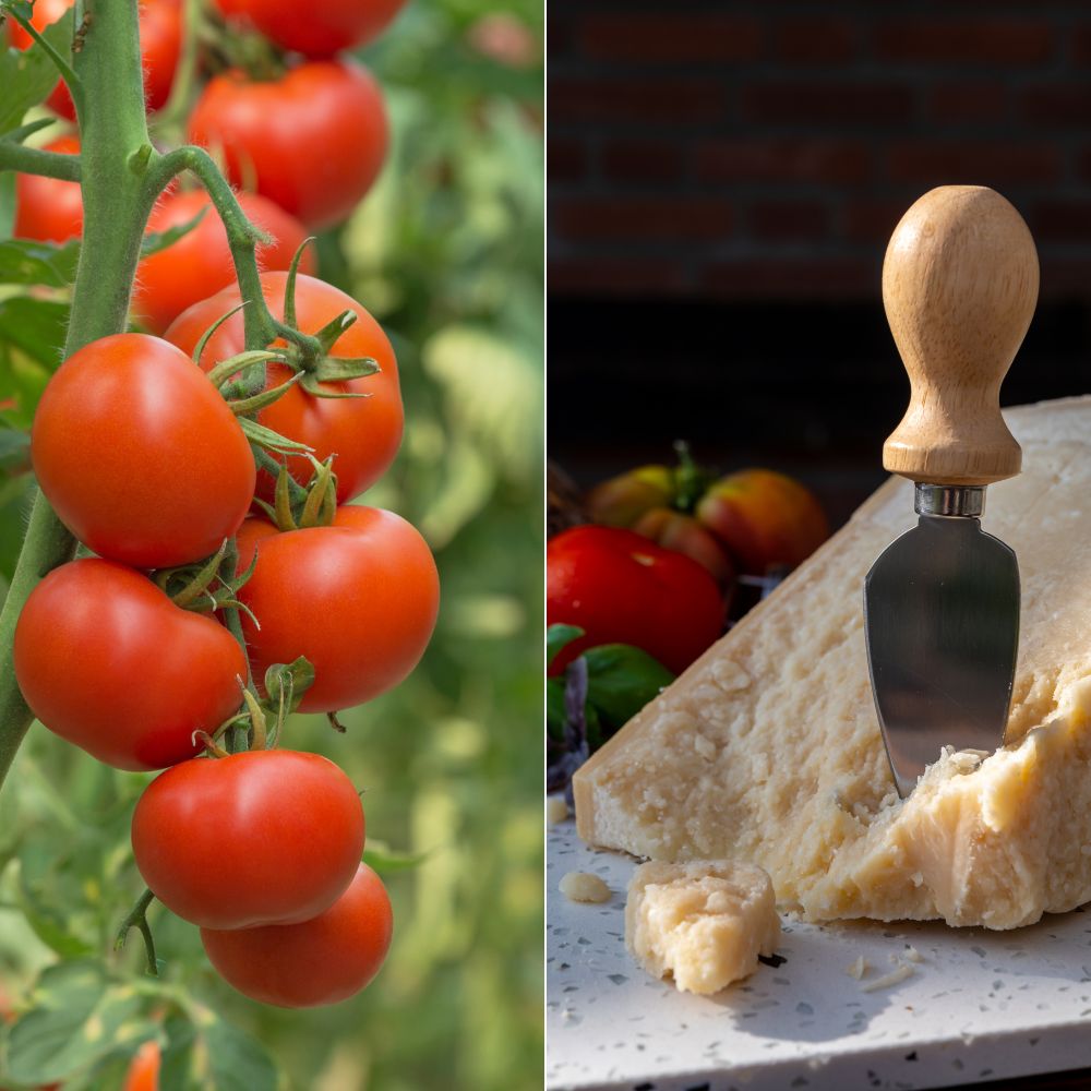 Sauce tomate et parmigiano italien