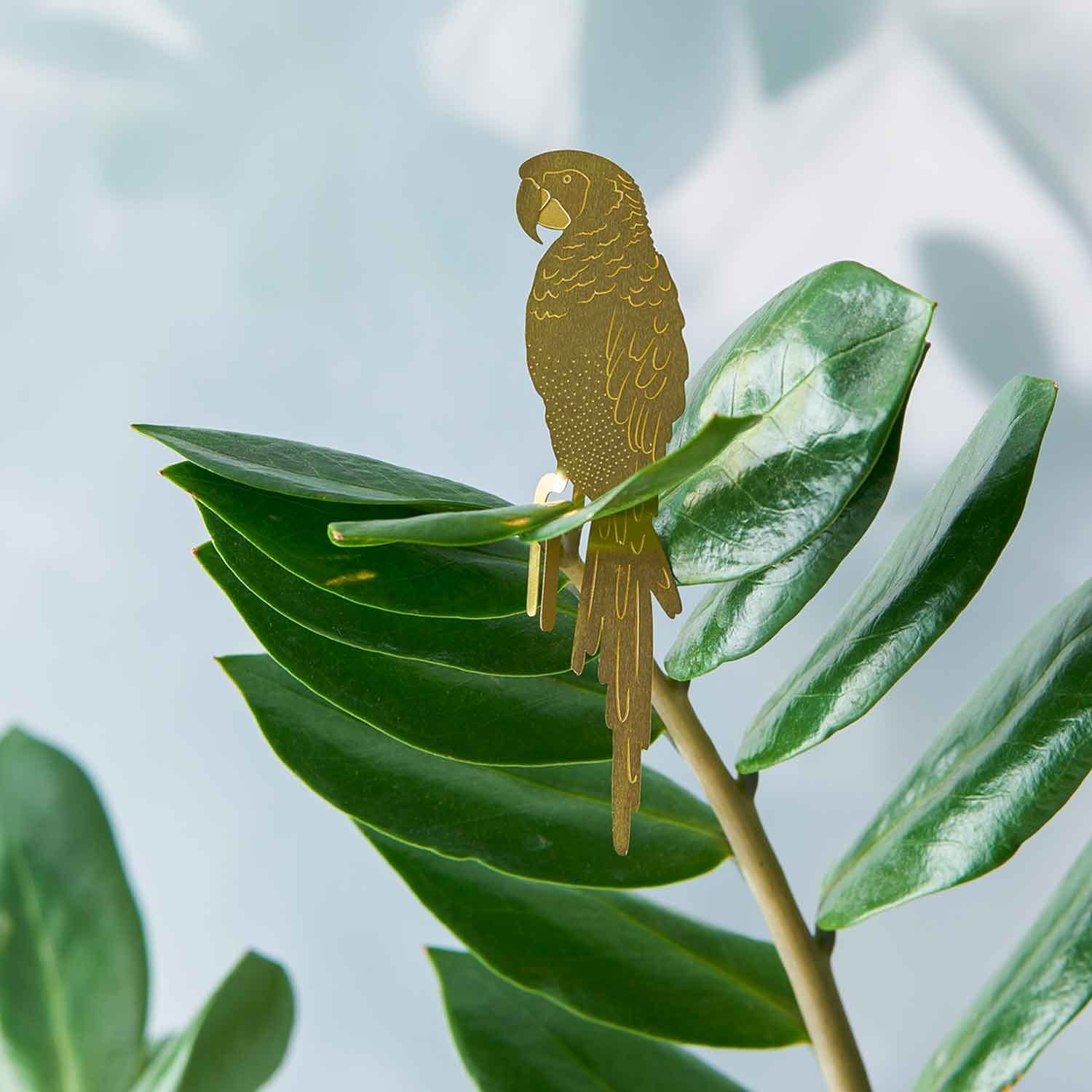 perroquet animal végétal pour plante intérieur