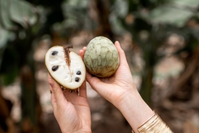 Trésors du Monde - Le Guide Ultime des Super-aliments Exotiques de Printemps