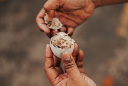 Top 7 des traditions culinaires les plus étonnantes dans le monde